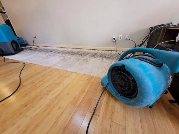 Professional Flood Damage Cleanup technician working in Glencoe, IL